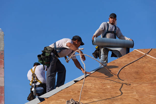 Best Metal Roofing Contractor  in Monroe, UT